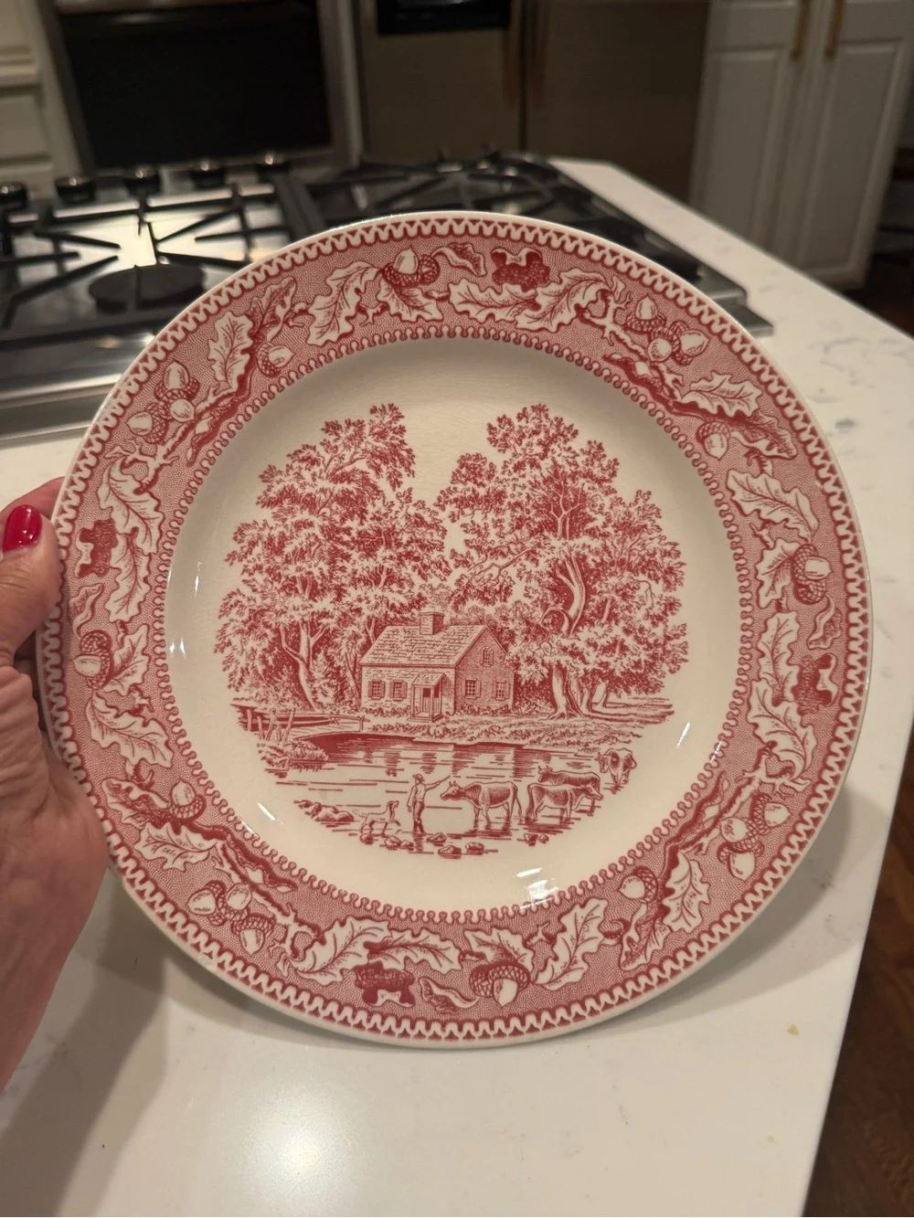 1965 Memory Lane Royal Ironstone Red Transferware Dinner Plate 10” Farmhouse USA